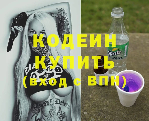 дурь Арсеньев