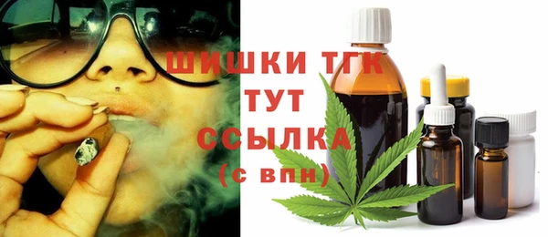ешки Алексин