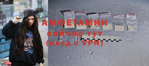 ешки Алексин