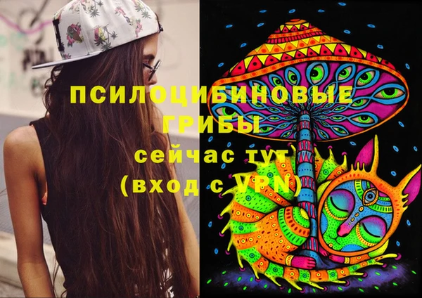 а пвп мука Армянск