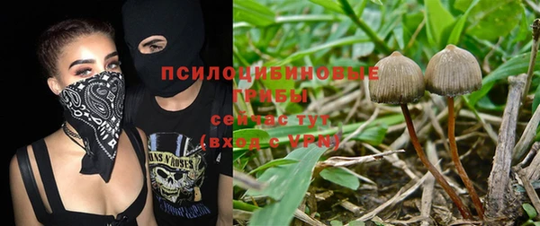 а пвп мука Армянск