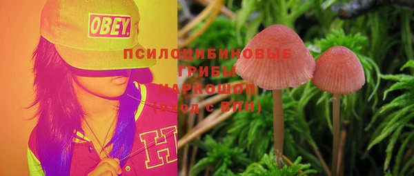 гидра Алзамай