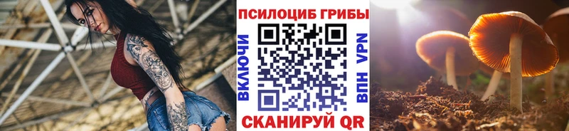 Галлюциногенные грибы Psilocybine cubensis  как найти наркотики  shop состав  Верхняя Салда 